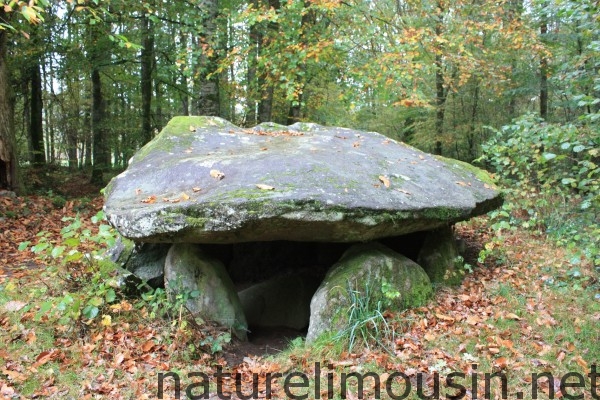 dolmen 4