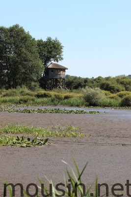 etang des landes