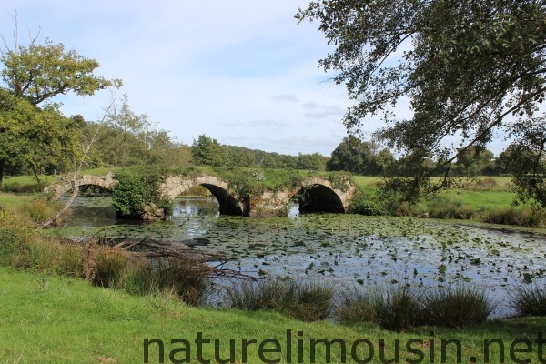 pont du cheix