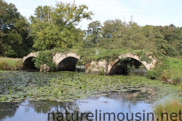 pont du cheix.jpg 1