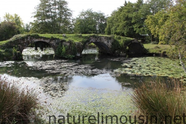 pont du cheix.jpg 2