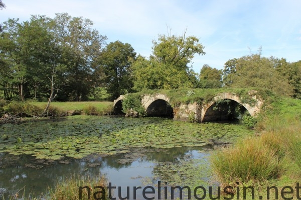 pont du cheix.jpg 5