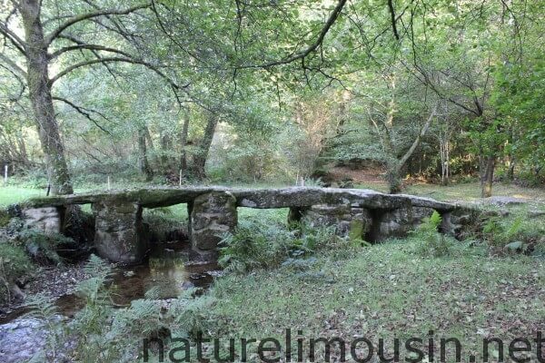 pont romain.jpg 1