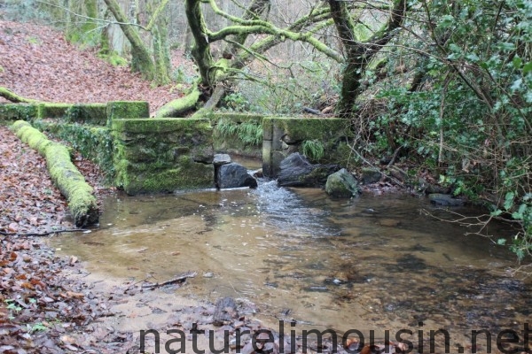 lavoir 1