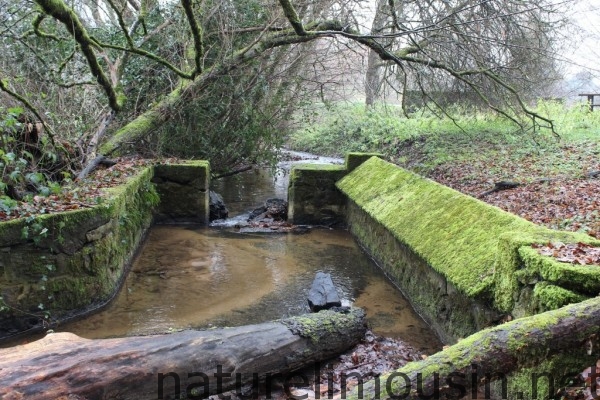 lavoir