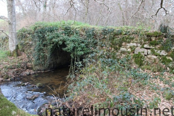 pont médiéval