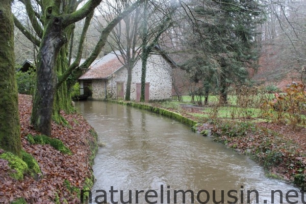 moulin pinard.jpg 4