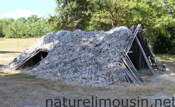 cabane