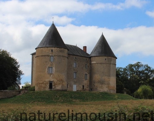 chateau de brie