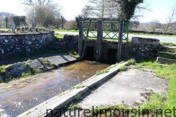 lavoir 2