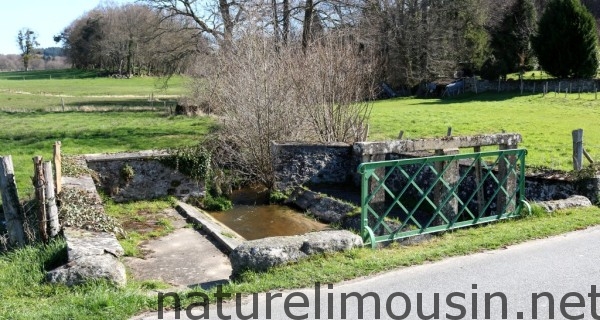 lavoir